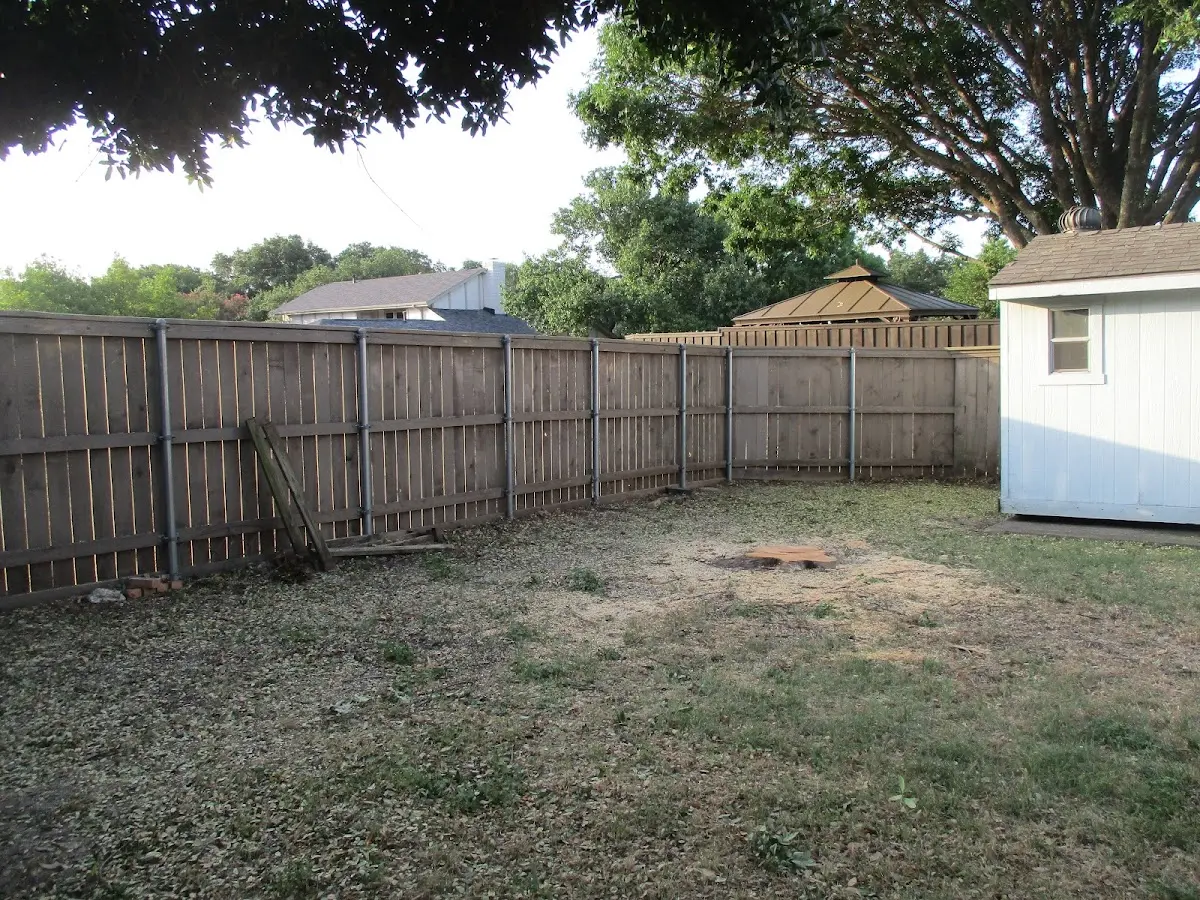 Cleared yard after professional tree removal in Wister